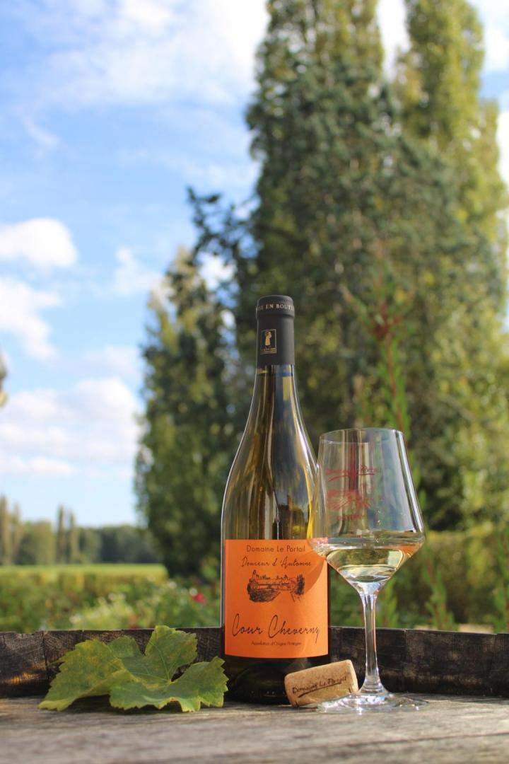 AOC Cheverny Wine Producer France