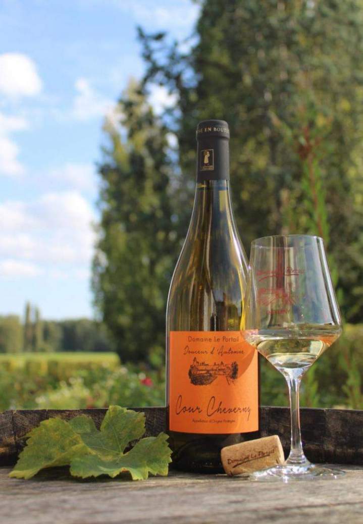 Viticulteur Cheverny