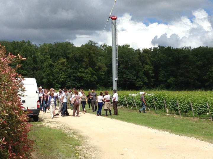 Visite de vignoble, Tours