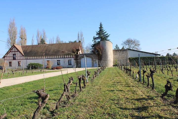  Vin cépage romorantin France