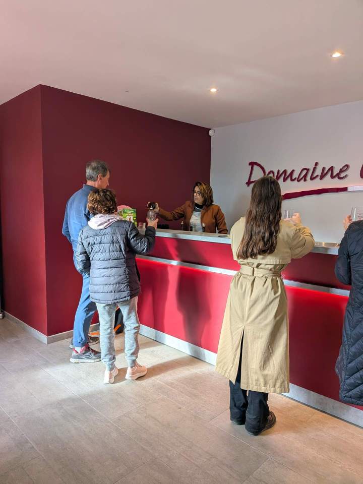 Visite de vignoble Cheverny