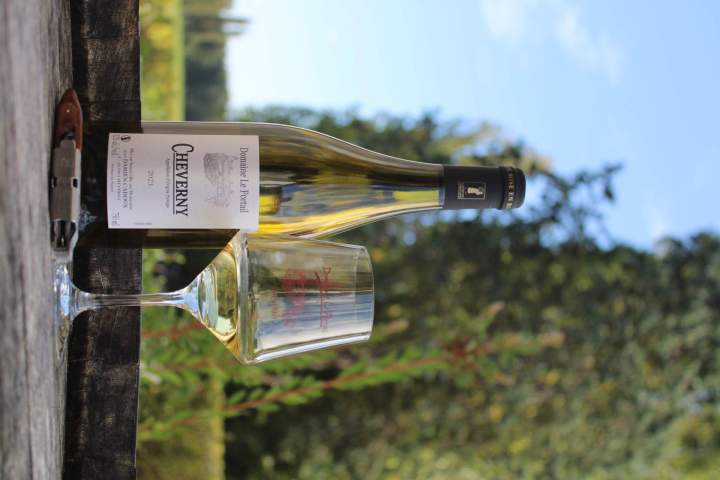 Vin AOC Cheverny, Rennes