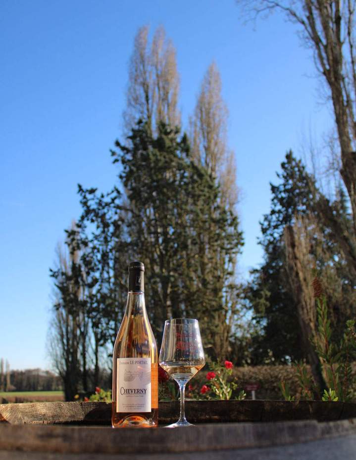 Séance de dégustation de vin France