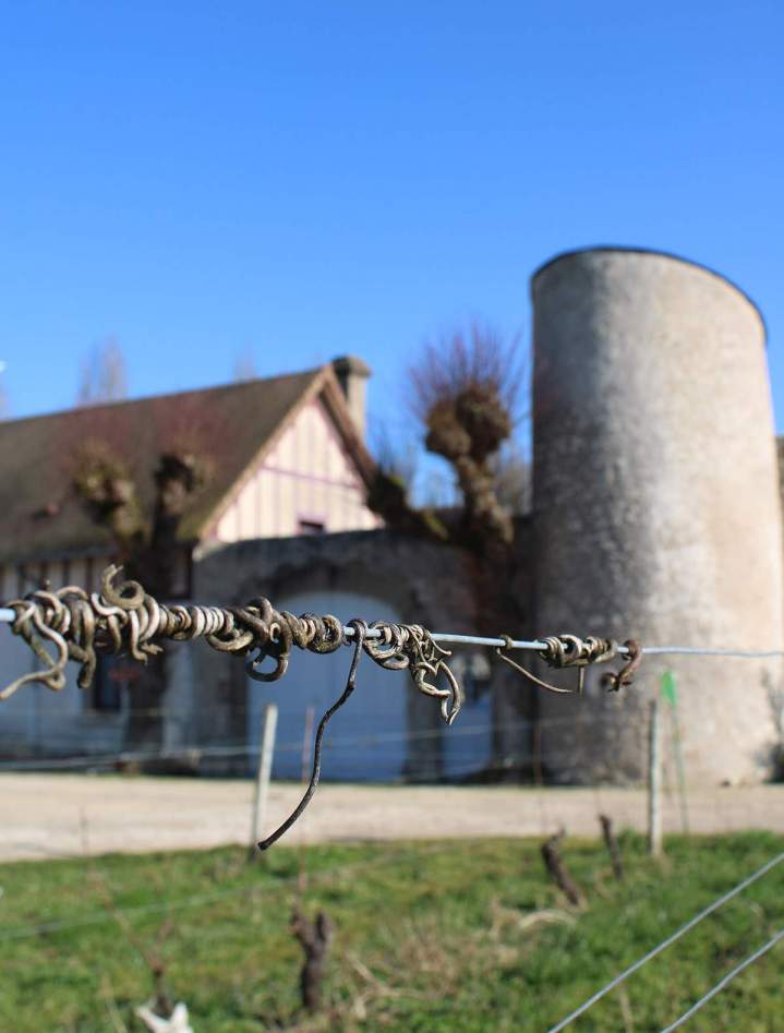 Viticulturist France
