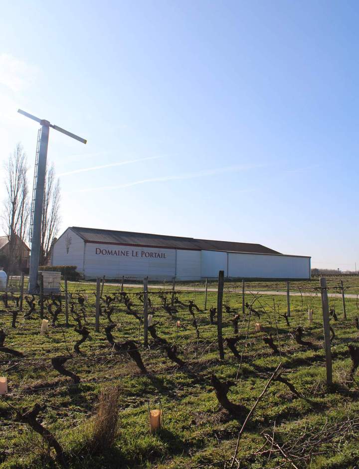 Producteur de vin AOC Cheverny France